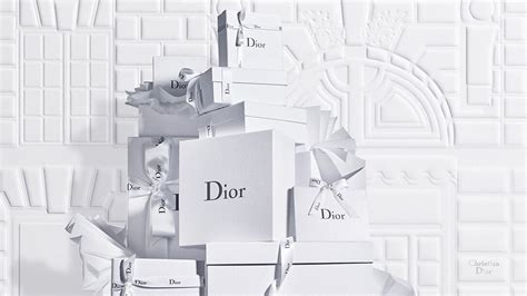 christian dior productos|Dior official website usa.